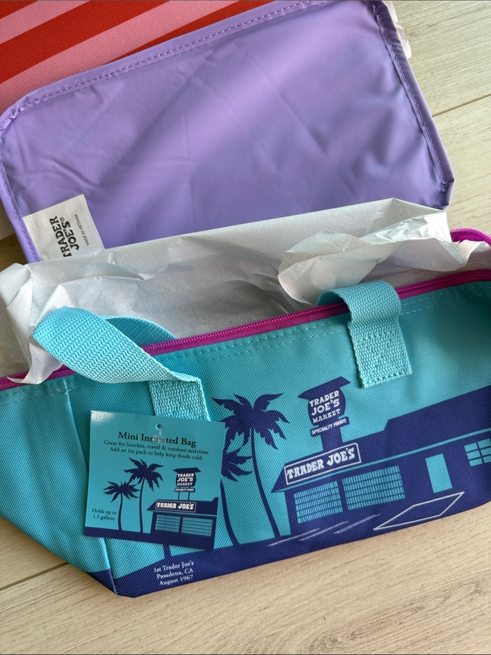 Trader Joe's Mini Insulated Tote Bag - Teal & Purple